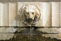 Fountain lion Bas relief Lucca Tuscany Italy