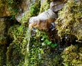 Fountain made of a plastic bottle