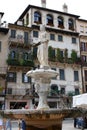 Fountain, Madonna piazza delle erbe