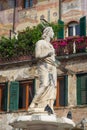 Fountain of Madonna Verona in Piazza delle Erbe. Verona. Italy Royalty Free Stock Photo