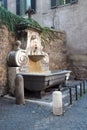 Fountain Mask in Rome, Italy