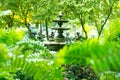 Fountain multi-tiered vintage style in green garden Royalty Free Stock Photo