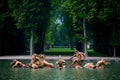 Fountain of Neptune at Versailles Palace in France Royalty Free Stock Photo