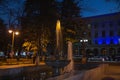 Fountain in the night park. Night scene of park