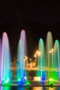 Fountain in night park in summer Royalty Free Stock Photo