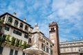 Fountain of Our Lady of Verona in the Piazza delle Erbe square Royalty Free Stock Photo