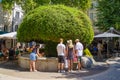 Fountain ovegrown with plants