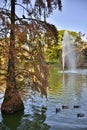 Fountain over the lake in a leafy park