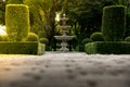 Fountain in the park with hard sunlight.Green shrub wall natural texture background with the ground conc Royalty Free Stock Photo