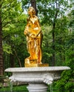 Fountain in the park, Petergof Royalty Free Stock Photo