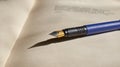 The fountain pen is lying on the open book. Close up Royalty Free Stock Photo
