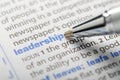 Leadership - Dictionary Series Royalty Free Stock Photo