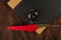 Fountain pen with red feather on a notebook and an old watch, Top view Royalty Free Stock Photo