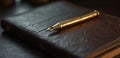 A fountain pen sitting on top of an open book Royalty Free Stock Photo
