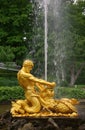 Fountain in Petrodvorets Royalty Free Stock Photo