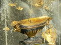 Fountain in Petrodvorets Royalty Free Stock Photo