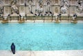 Fountain in Piazza del Campo, Siena