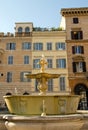 Fountain Piazza Farnese (Rome Italy) Royalty Free Stock Photo