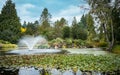 Fountain in the pond with green plants with cloudy sky