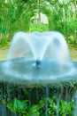 Fountain pond in a shady garden