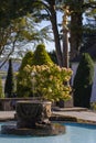 Fountain Pool and Burmese Dancer Sculpture in Portmeirion, Wales