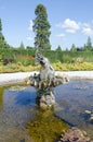 Fountain at Powerscourt house and gardens, Ireland