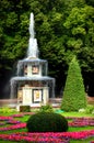 Fountain Roman in Pertergof