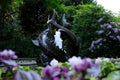 Fountain Rose garden The famous gardens of Butchert on Victoria Island. Canada. The Butchart Gardens Royalty Free Stock Photo