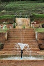 The fountain in the Royal Rose Garden