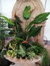 Fountain with set of plants Royalty Free Stock Photo