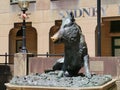 A fountain shaped as a wild swine in Sydney