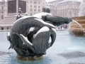 Fountain in the Snow, Trafalgar Square, London. Royalty Free Stock Photo