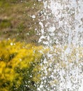 Fountain splashes as an abstract background. Texture Royalty Free Stock Photo