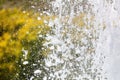 Fountain splashes as an abstract background. Texture Royalty Free Stock Photo