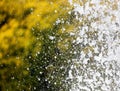 Fountain splashes as an abstract background. Texture Royalty Free Stock Photo