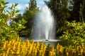 A fountain sprays water up above a pond. Royalty Free Stock Photo