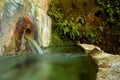 Fountain spring with plants in the mountain