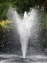 Fountain sprout and droplets cold fall