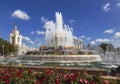 Fountain `Stone Flower` on the territory of the all-Russian exhibition center VDNH and red rose bushes around. Moscow,