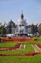 Fountain Stone flower VVC Moscow