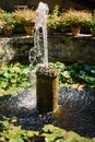 Fountain surrounded by flowerpots in front of the Medici Villa of Lilliano Wine Estate in Tuscany, Italy. Royalty Free Stock Photo