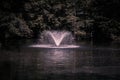 Fountain at Swan Lake and Iris Gardens Royalty Free Stock Photo