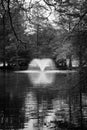 Fountain at Swan Lake Royalty Free Stock Photo