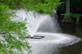 Fountain at Swan Lake Royalty Free Stock Photo