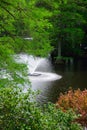 Fountain at Swan Lake Royalty Free Stock Photo