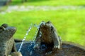 Fountain of three granite frogs playing with the water