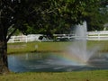 Fountain tree rainbow