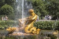 Fountain `Triton` by sculptor Rastrelli in the Park of the Museum-reserve Peterhof. Saint Petersburg Royalty Free Stock Photo