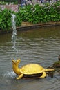 Fountain The Turtles In Petrodvorets Royalty Free Stock Photo