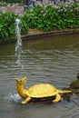 Fountain The Turtles In Petrodvorets